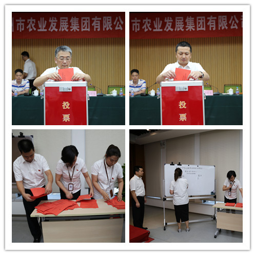 9043357cdc7549c571fb84af4ad2a1ed 投票现场.jpg